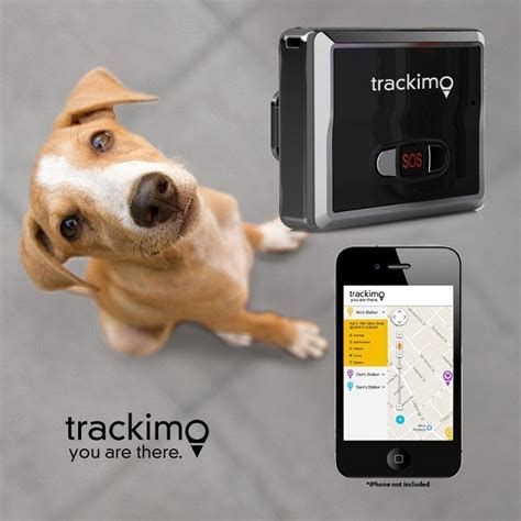 best rfid animal tracking system|pet tracking device reviews.